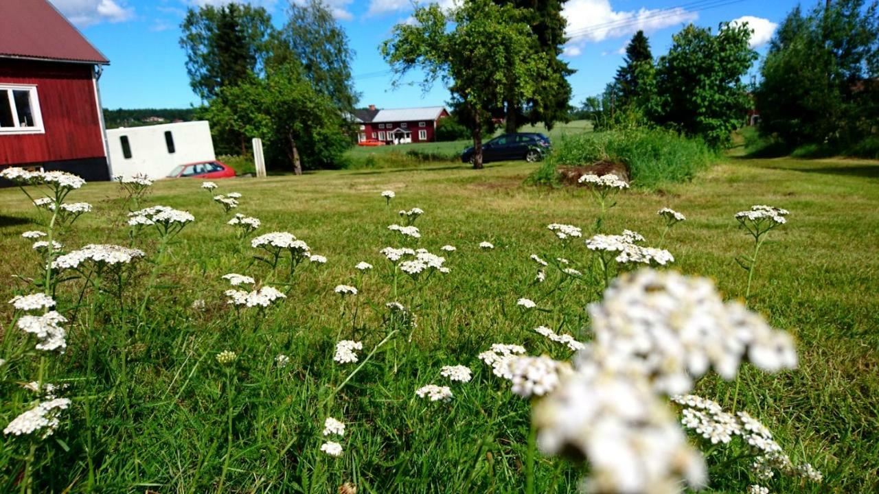 Ett Hus Med 3 Sovrum Med Supersnabba Internet Fiberanslutningen 1000Mb-100Mb I Hoeg, 7 Minuter Fran フディクスバル エクステリア 写真